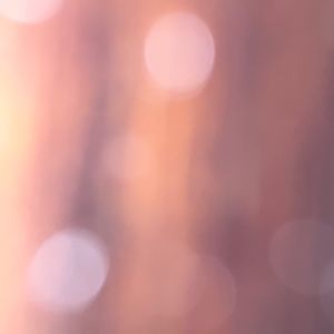 Meet your Posher, Ari